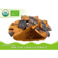 NOP organic chaga mushroom extract with  50% polysaccharides